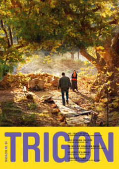TRIGON 84 - Tel Aviv on Fire/Rafiki/Los silencios/Shiraz/The Wild Pear Tree (Magazine)
